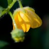img_9482.jpg