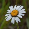 img_9472.jpg