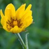 img_9477.jpg