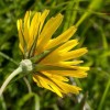 img_9543.jpg