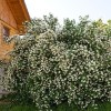 img_9664.jpg