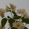 img_9648.jpg