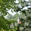 img_9641.jpg