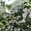 img_9642.jpg