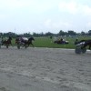 dscf6558.jpg