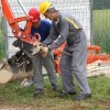 img_7983.jpg