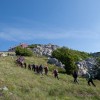 img_0229.jpg