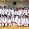 shokata_001.jpg