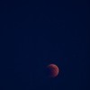 img_0427.jpg