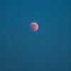 img_0417.jpg