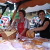 ciciveselica_2011020.jpg