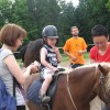 ciciveselica_2011060.jpg
