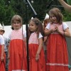 ciciveselica_2011057.jpg