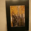 fotografska_razstava_judith_zgonec_in_vinka_seska031.jpg