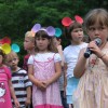 ciciveselica_2011039.jpg