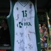 ciciveselica_2011037.jpg