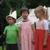 ciciveselica_2011053.jpg