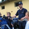 ciciveselica_2011024.jpg