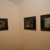 fotografska_razstava_judith_zgonec_in_vinka_seska028.jpg