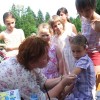 ciciveselica_2011009.jpg