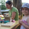 ciciveselica_2011067.jpg