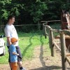 ciciveselica_2011012.jpg