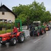 praznik_cvi__ka_004.jpg