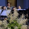 koncert__60_.jpg