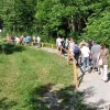 2011_06_25_trim_steza_tropinek_31.jpg