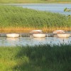 uultrabalaton_002.jpg