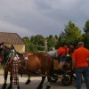 imgp9090_000.jpg