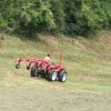 img_9397_000.jpg