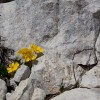 img_1065.jpg