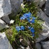 img_1075.jpg