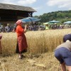 slika_066.jpg