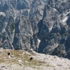 img_1095.jpg