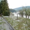 p7110030.jpg