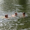 img_0031_000.jpg