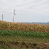 img_0101_000.jpg