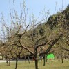 bizeljsko_po_to__i_2011_107.jpg