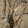bizeljsko_po_to__i_2011_115.jpg