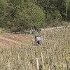 bizeljsko_po_to__i_2011_98.jpg