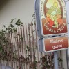 bizeljsko_po_to__i_2011_59.jpg
