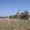 bizeljsko_po_to__i_2011_110.jpg