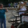 60_let_pgd_veliki_cirnik_in_15__gibm_096.jpg