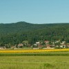 img_1117.jpg