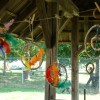 dsc08448__2_.jpg