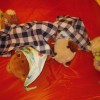 dscn1168.jpg
