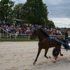 img_0956_000.jpg