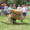 img_2576.jpg